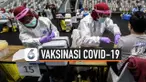 TV Vaksin