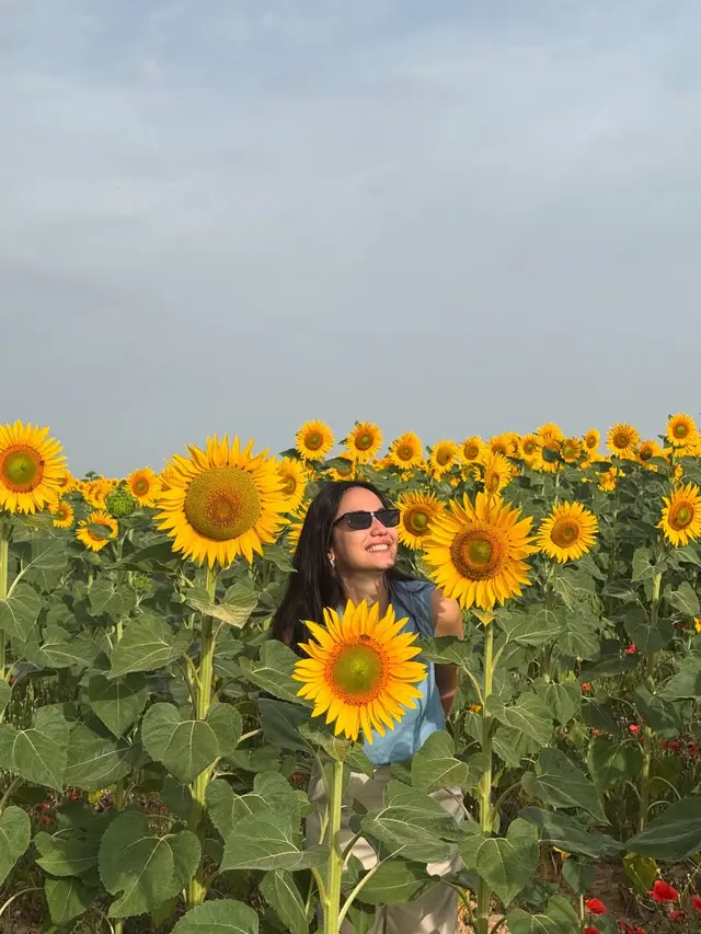 Gaya Kasual Stylish Pevita Pearce Berpose di Taman Bunga Matahari, Simpel tapi Tetap Memesona