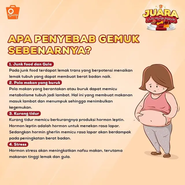Penyebab kegemukan