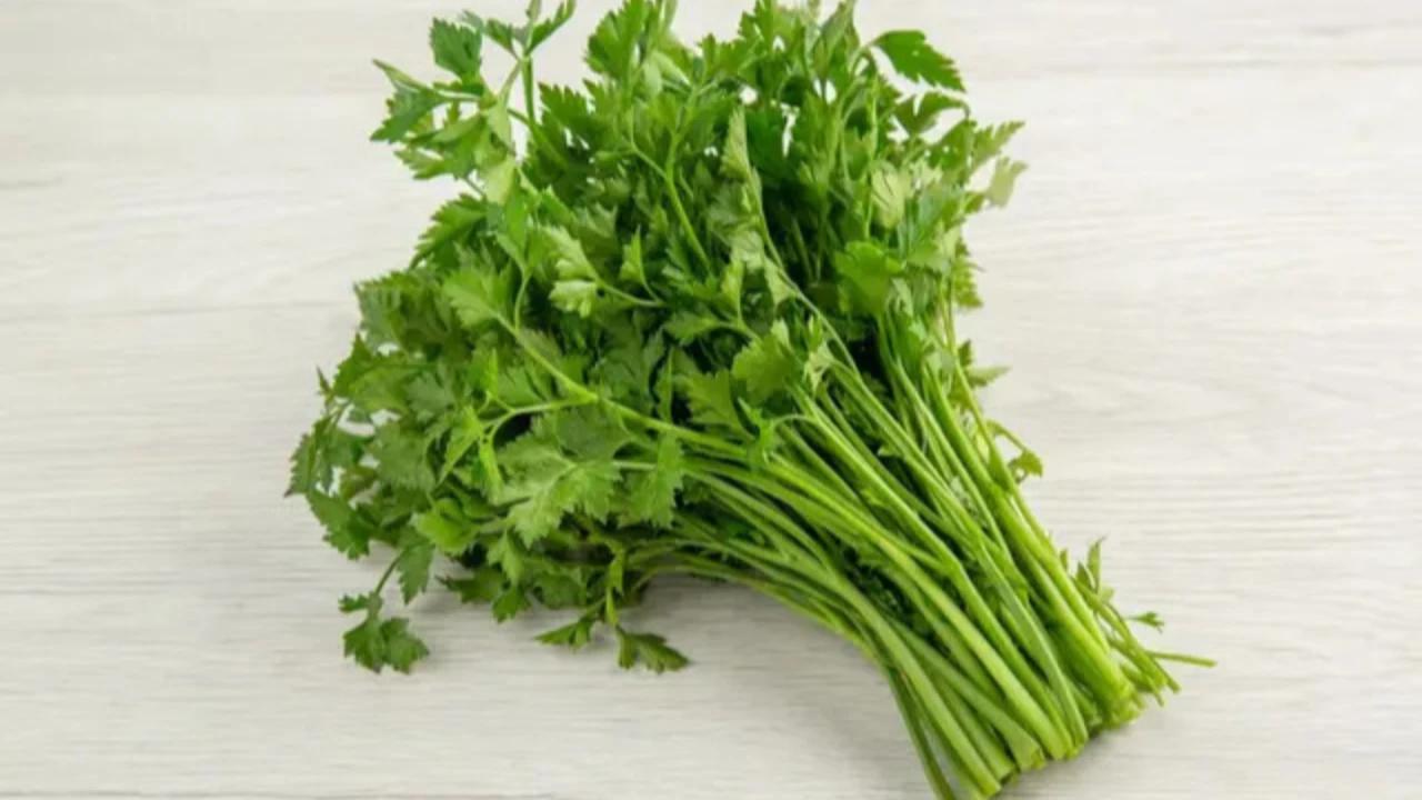 Tak Hanya Sambiloto, Ini 6 Tanaman Herbal Ampuh untuk Turunkan Asam Urat