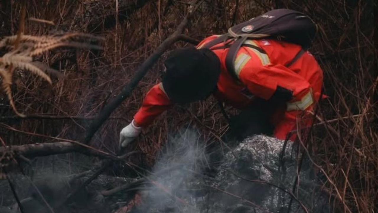 Fakta Cepat: 36 Hektare Ludes, Kebakaran Hutan Rinjani Berhasil Dipadamkan Tim Gabungan