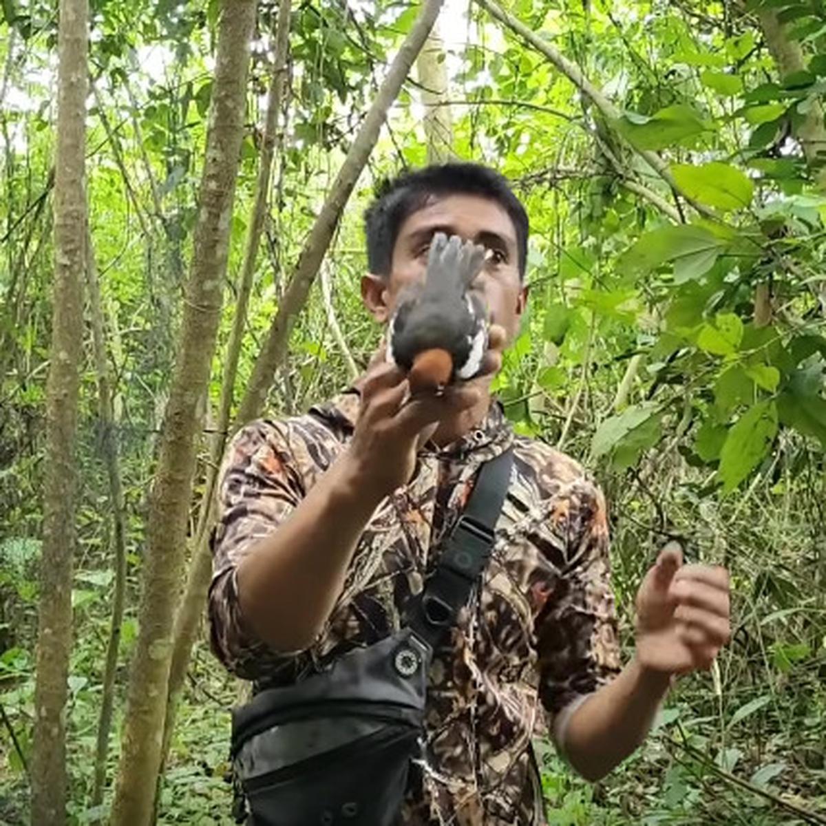 Canggih Pria Ini Tangkap Burung Anis Kembang yang Pernah Jadi Favorit Penghobi