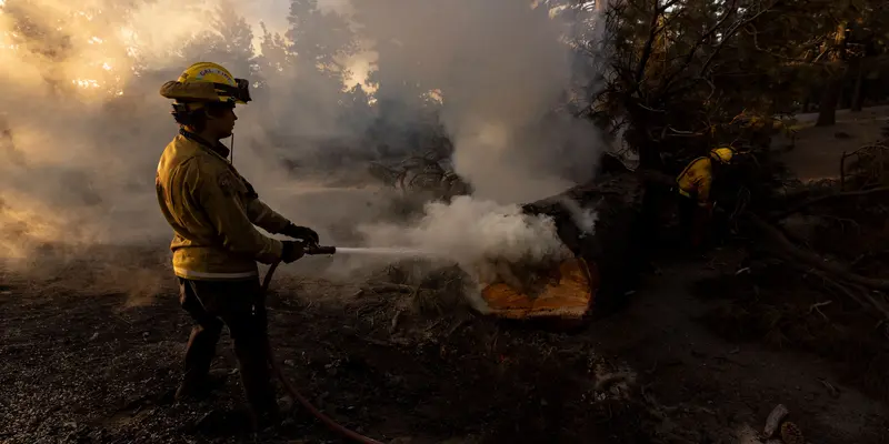 Lebih dari 51.000 Hektar Hutan di Perbukitan Big Pines Hangus Terbakar