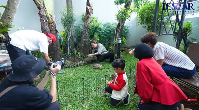 7 Potret taman rumah Lesti Kejora, minimalis tapi asri banget