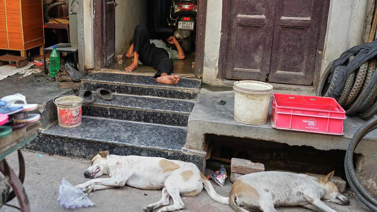 FOTO: Gelombang Panas Ekstrem Lumpuhkan Aktivitas Warga India Utara