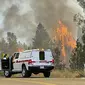 Pohon terbakar saat Kapten Pemadam Kebakaran Cal bekerja di dekat persimpangan Whispering Pines Lane dan Centennial Drive di Grass Valley, California (25/8/2021). Kebakaran hutan telah membara selama seminggu di California Utara terus membesar tak terkendali. (Elias Funez/The Union via AP)