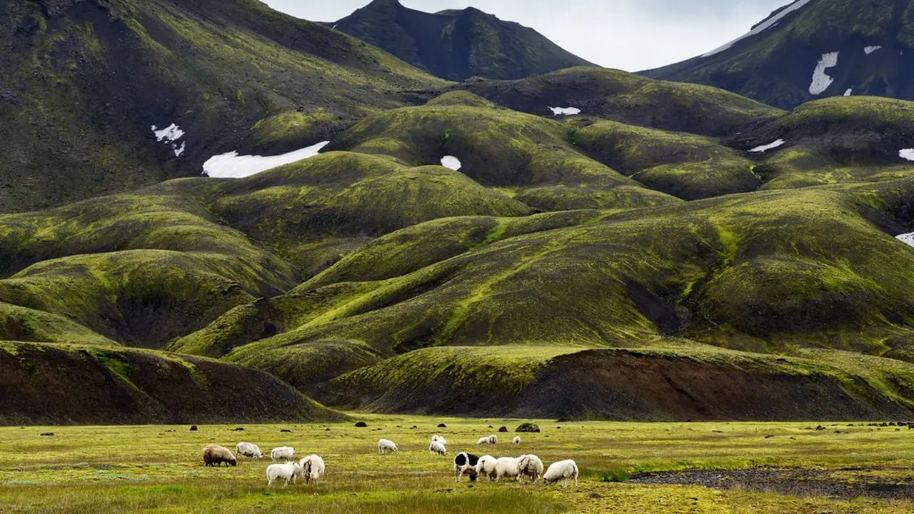 [Bintang] Islandia