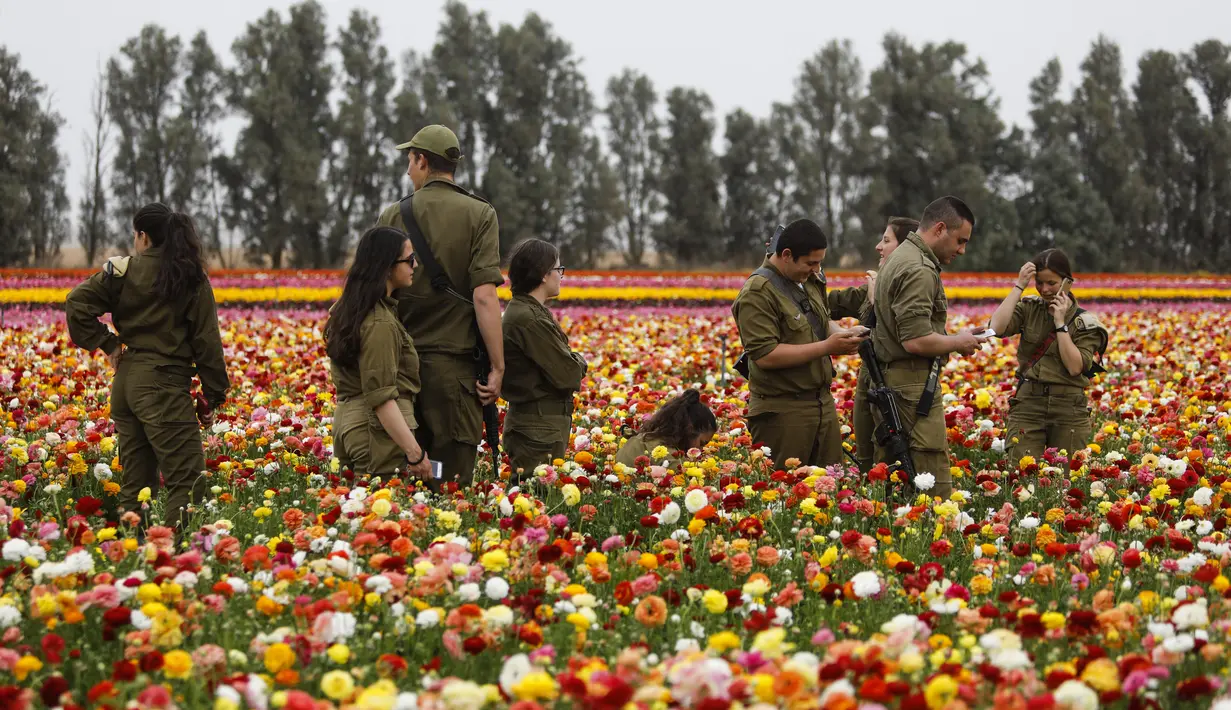 Tentara Israel saat berkunjung ke Taman Bunga Ranunculus di Kibbutz, Nir Yitzhak, di perbatasan Israel-Jalur Gaza (12/4). Taman Bunga Ranunculus ramai didatangi warga saat hari liburan Yahudi Pesach (Paskah). (AFP PHOTO/MENAHEM KAHANA)
