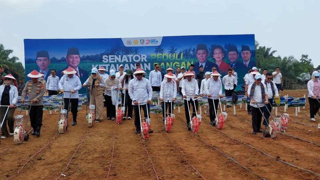 Fakta Unik Bengkulu: DPD RI Tanam Jagung 5.000 Hektare di Empat Provinsi untuk Ketahanan Pangan Nasional