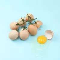 Seorang seniman asal London bikin makanan jadi menyalahi kodratnya. (Sumber foto: boredpanda.com)