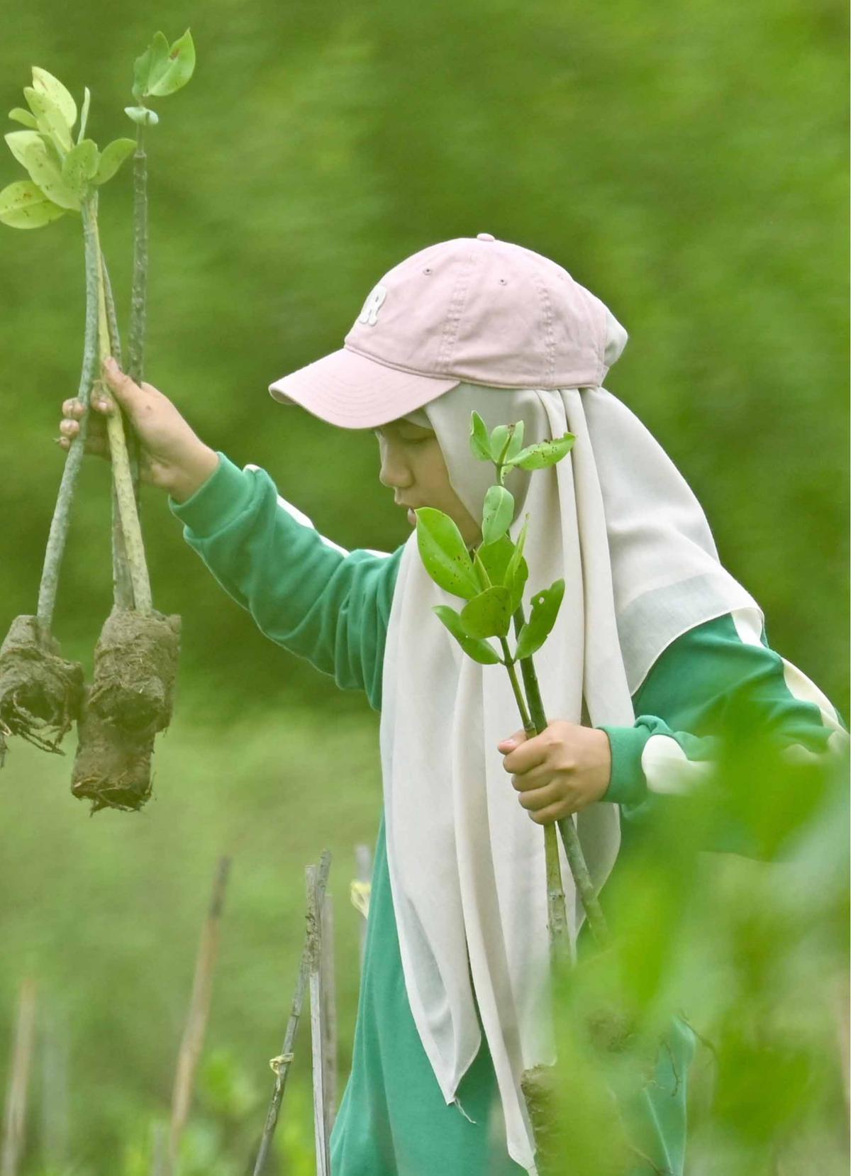 FOTO: Aksi Pelajar Aceh Menanam Mangrove Sambut Hari Sumpah Pemuda
