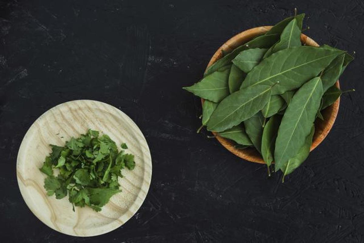 Resep Sayur Bening Daun Katuk yang Sehat dan Lezat untuk Keluarga
