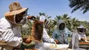 Peternak lebah memeriksa kerangka lebah di tempat pemeliharaan lebah di desa al-Raghila dekat Hilla di Irak tengah pada 7 Juni 2023. (AFP/AHMAD AL-RUBAYE)
