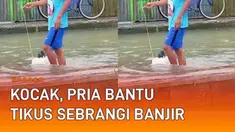 Banjir di jalanan Kebumen, Jawa Tengah jadi hiburan bagi anak-anak. Namun sebuah momen unik disorot. Seorang pria tampak menarik gabus yang dinaiki seekor tikus hitam.
