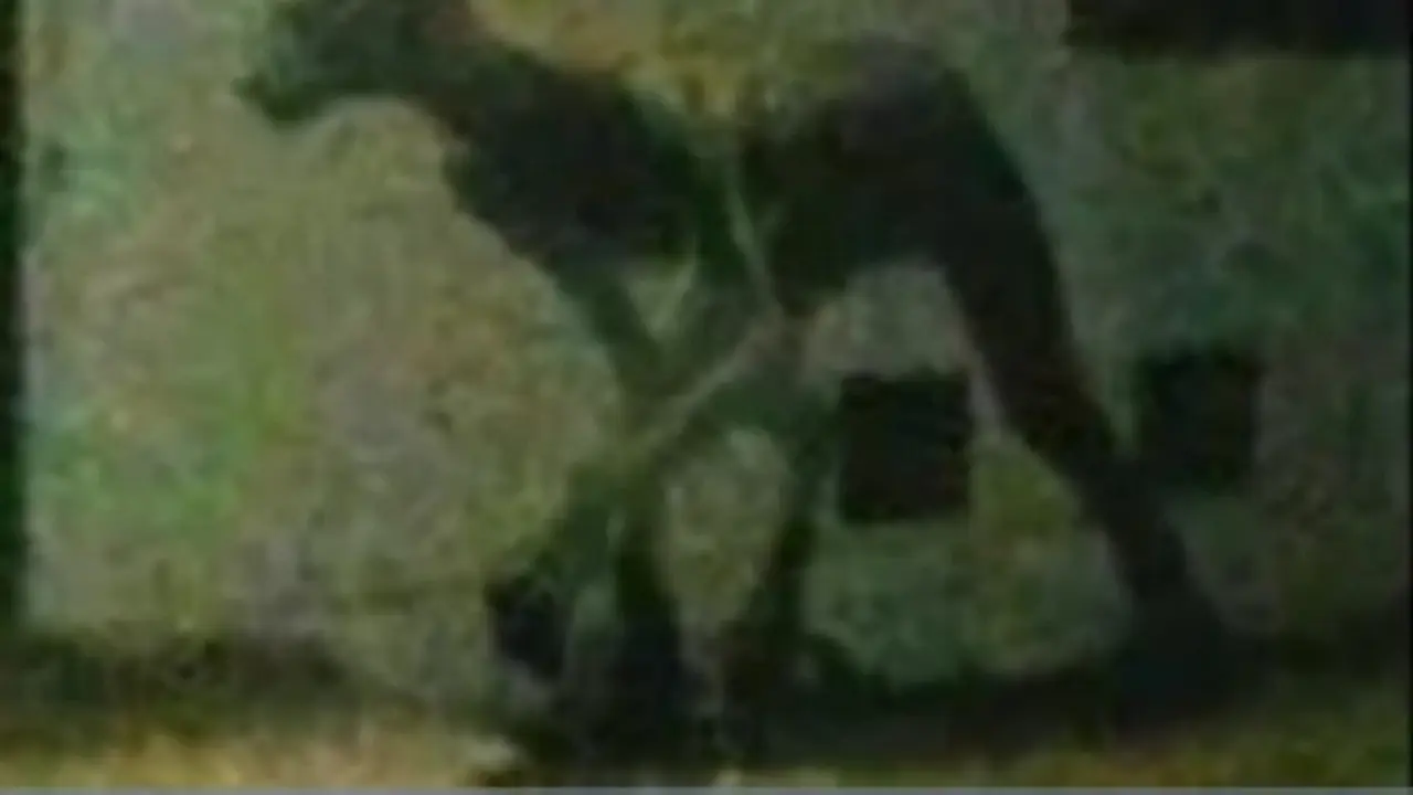 mahluk misterius mirip manusia serigala (dailystar)