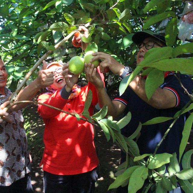Pagi Tak Lagi Galau Di Botania Garden Purbalingga Regional