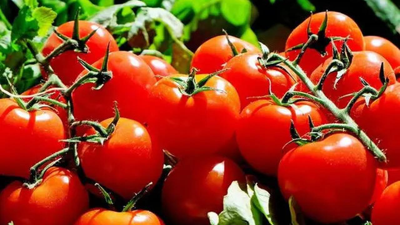 Cara Awet Muda dengan Bahan Dapur yang Ampuh Merawat Kulit