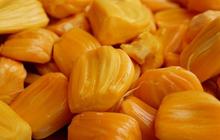 Manfaat Nangka untuk Ibu Hamil, Mengurangi Gejala Kram Kaki