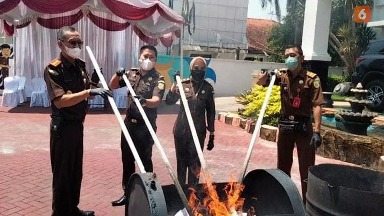 Pemusnahan pohon ganja dengan cara dibakar di Kejari Ngawi (Liputan6.com/Istimewa)