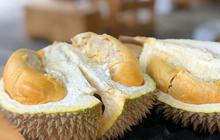 Apakah Ibu Hamil Boleh Makan Durian? Ini Aturannya