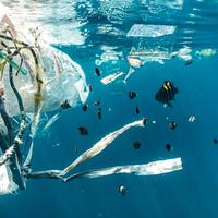 Wujudkan Perairan Papua Bebas Sampah, Komunitas Trash Hero Operasikan Motor Laut