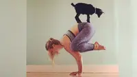 QUIZ : Pose Yoga seperti Apakah yang Cocok untuk Anda?