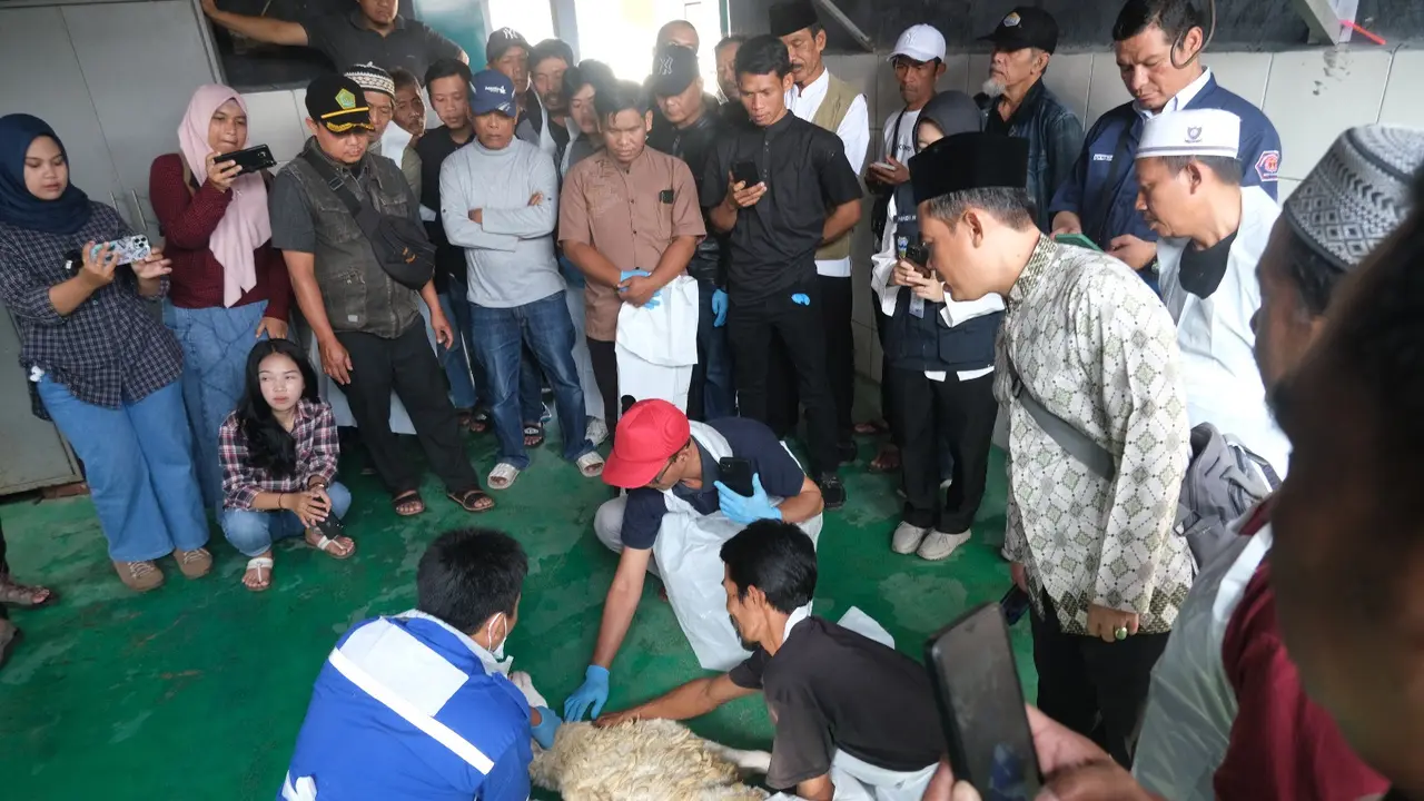 Sebanyak 30 pengurus Dewan Kemakmuran Masjid (DKM) di Garut, Jawa Barat tengah fokus mengikuti pelatihan pemotongan profesional menjelang Idul Adha 1445H/2024. (Liputan6.com/Jayadi Supriadin)
