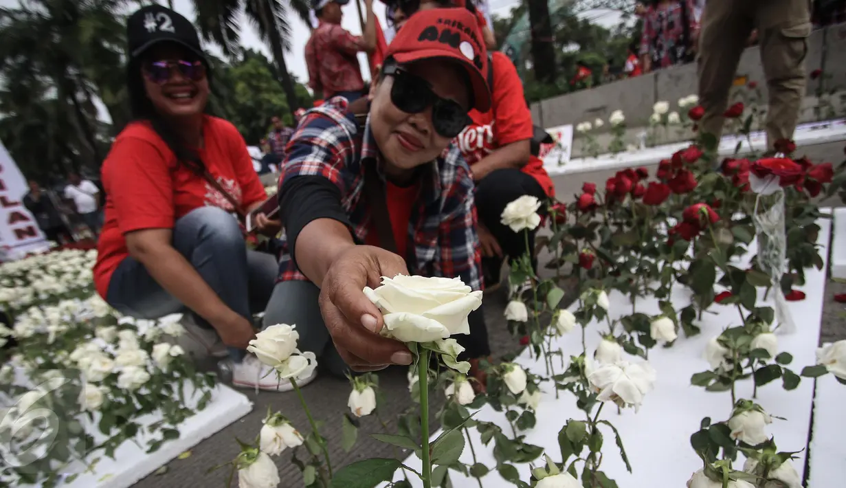Seorang massa menunjukkan bunga mawar di lokasi sidang vonis Basuki Tjahaja Purnama atau Ahok di Kementerian Pertanian, Jakarta, Selasa (9/5). Hamparan bunga mawar merah dan putih menghiasi lokasi sidang vonis Ahok. (Liputan6.com/Faizal Fanani)