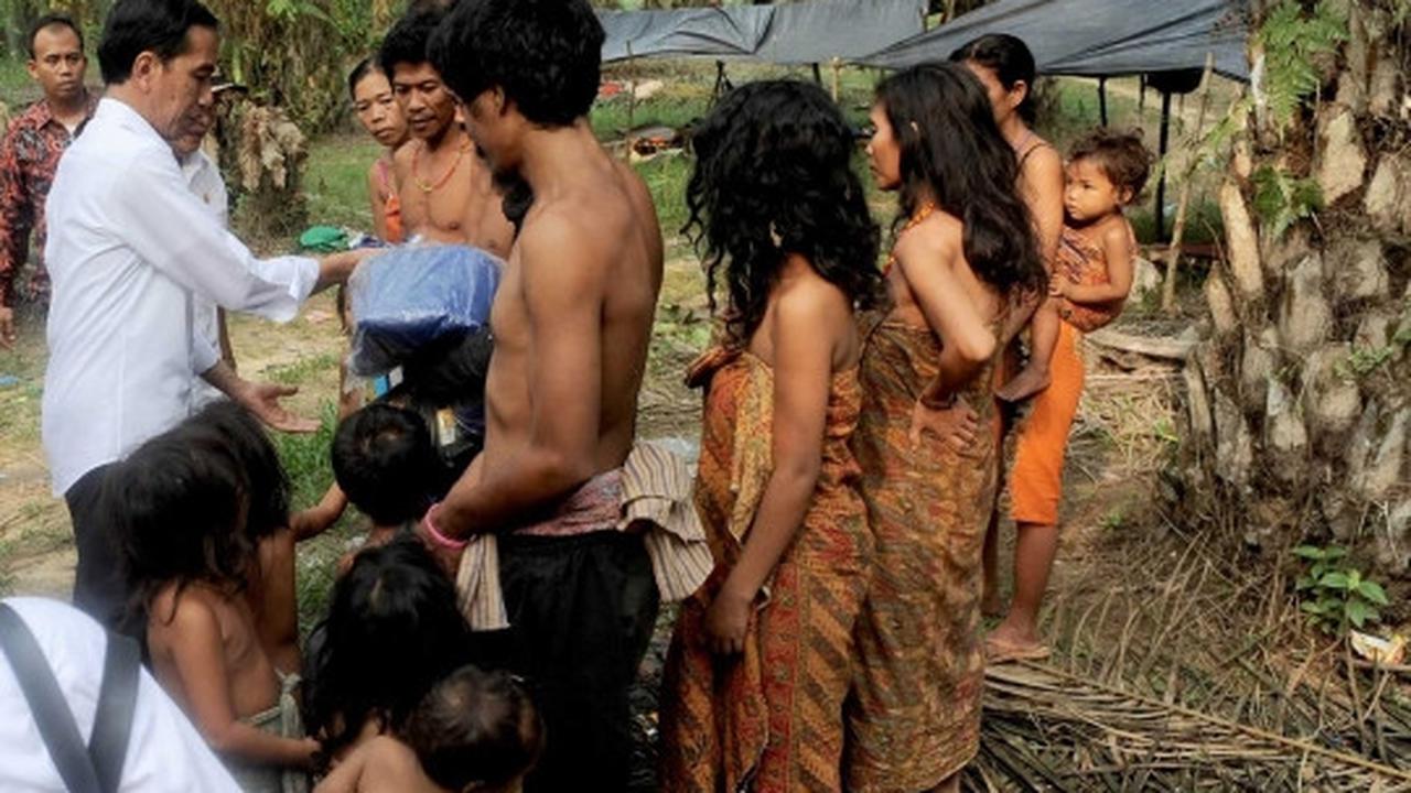 Keakraban Jokowi bertemu Suku Anak Dalam di hutan sawit