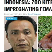 Sebuah media asing menyebutkan penjaga kebun binatang di Surabaya telah menghamili orangutan bernama Marilyn. Benarkah?