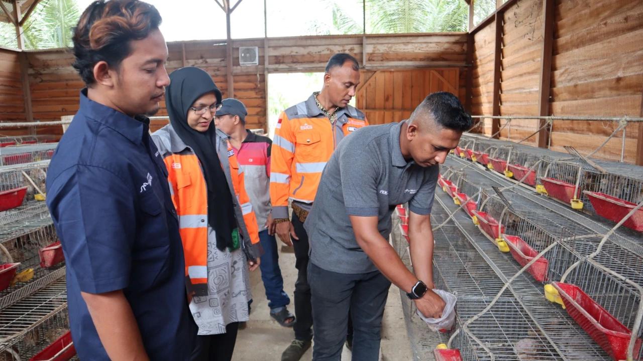 Timbunan Sampah Kelapa 60 Ton Diolah Jadi Pakan Ternak, Biaya Peternak Turun 60 Persen