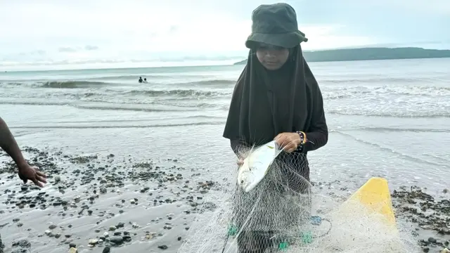 Nelayan wanita di Kabupaten Buton Selatan membantu suami dan orang tua mereka menarik pukat ikan di pesisir pantai.(Liputan6.com/Ahmad Akbar Fua)