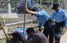 DLH Kota Malang Gencarkan Penanaman Tabebuya, Kembalikan Fungsi RTH Pasca Drainase