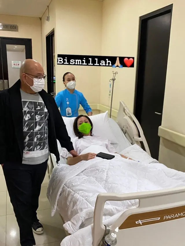 Al El Dul Jenguk Maia Estianty