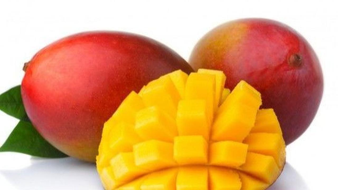 <b>2. Mangga</b>