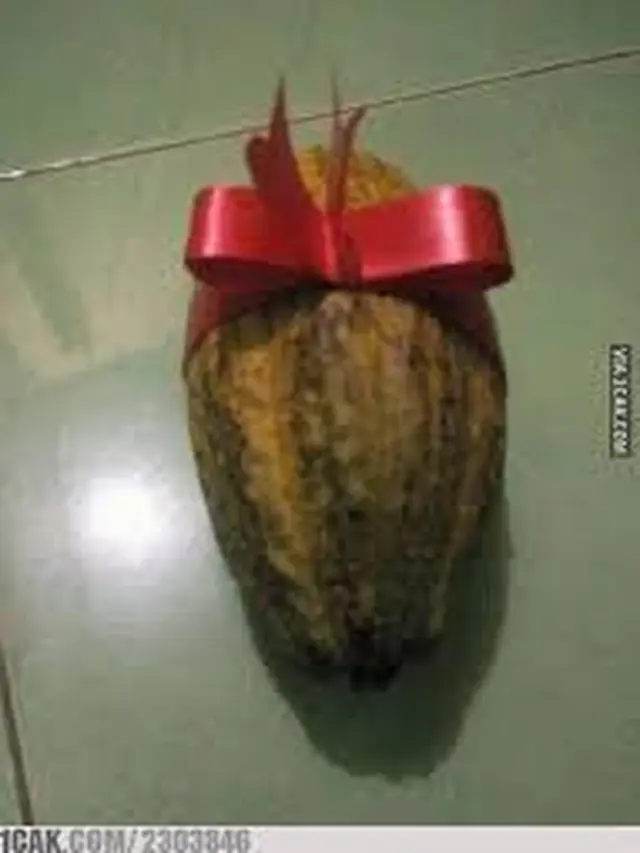 10 Hadiah Valentine yang Anti-Mainstream, Pacar Dijamin Ngakak