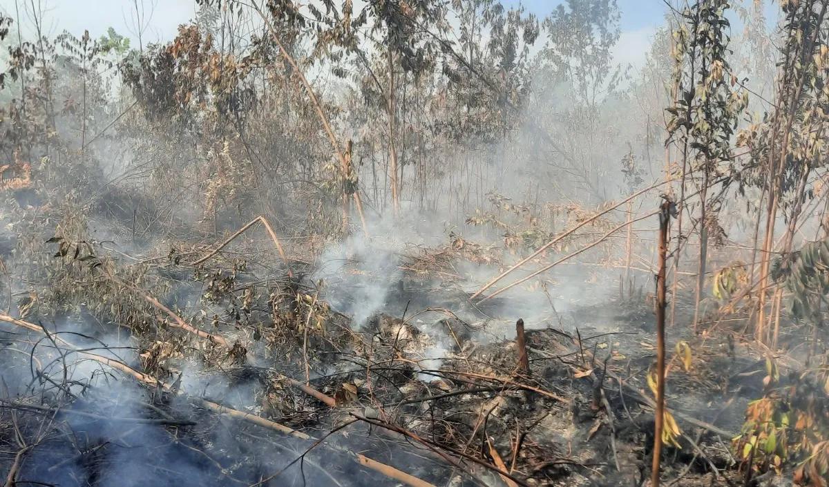 Asep menyebut bahwa lokasi titik api berada cukup jauh di tengah pergunungan. Kondisi tersebut cukup menyulitkan TNI-Polri melakukan pemadaman.<br>