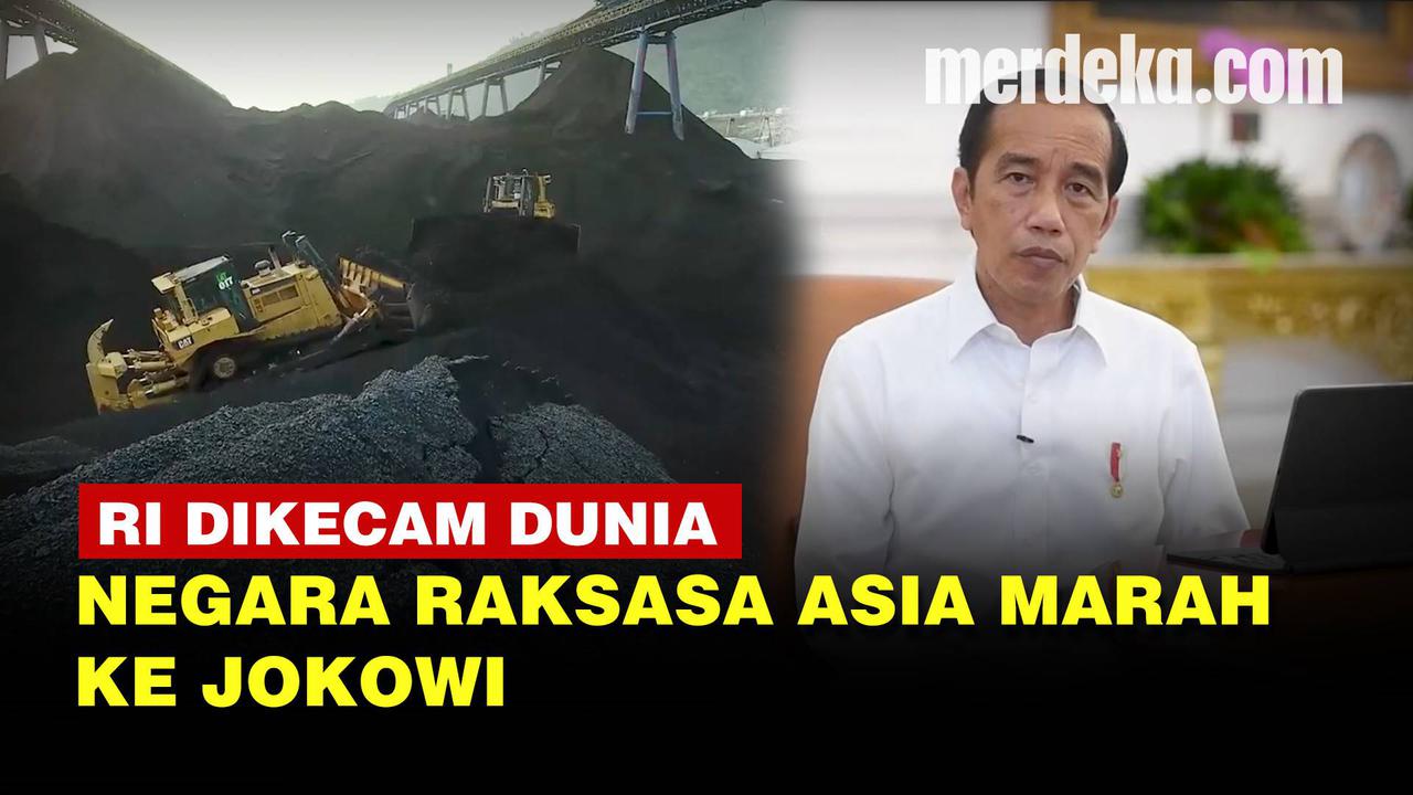 VIDEO: Negara-Negara Asia Ini Kecam RI, Buntut Jokowi Setop Ekspor Batu Bara