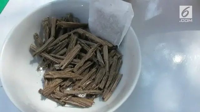 Kayu Bajakah yang diklaim mampu menyembuhkan kanker