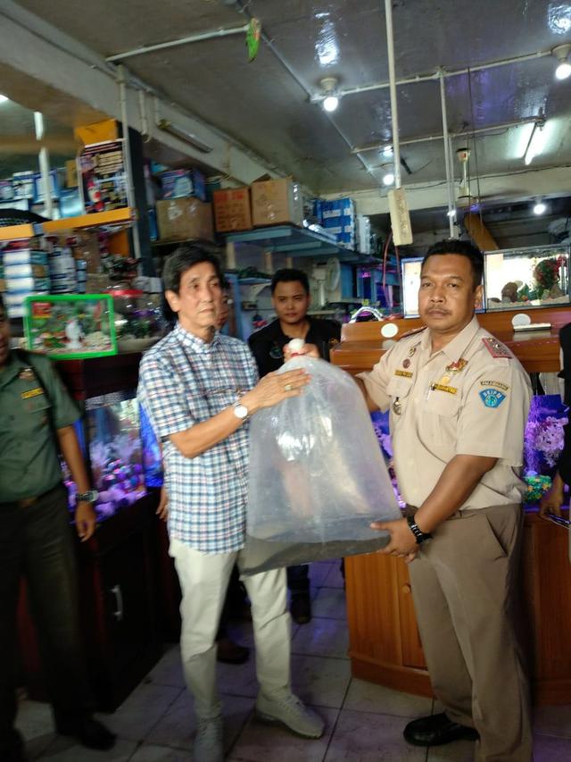 Penyelundupan Ilegal Picu Penyebaran Ikan Predator di Indonesia