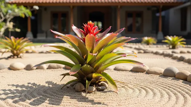 Ilustrasi Bromelia/Gemini AI