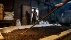 Para pekerja menyebarkan biji kopi robusta setelah disangrai secara tradisional di sebuah pabrik biji kopi kecil di Banda Aceh (14/11/2020). (AFP/Chaideer Mahyuddin)