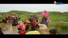 Ribuan warga muslim Rohingya, yang berupaya mengungsi dari Myanmar, terjebak di perbatasan Myanmar dengan Bangladesh.