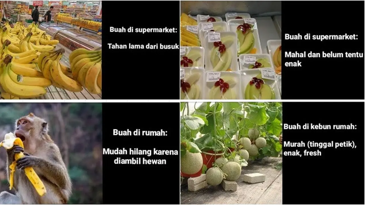 7 Meme Beda Buah Saat di Supermarket dengan di Rumah Ini Bikin Tepuk Jidat