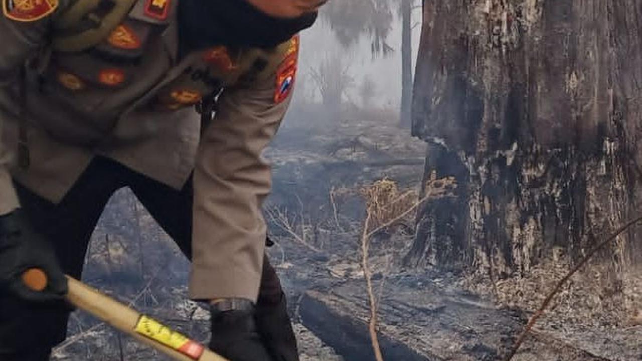Sebaran titik api merambat ke wilayah Kabupaten Malang, Kabupaten Pasuruan dan Kota Batu. Karhutla di Kawasan Gunung Arjuno terus meluas melebihi 1.300 hektare.