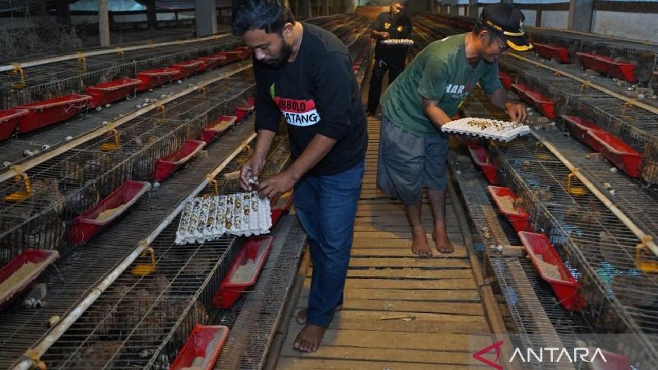 Ahli Gizi Unhas Ingatkan Pentingnya Standar Keamanan Pangan Program MBG untuk Cegah Keracunan