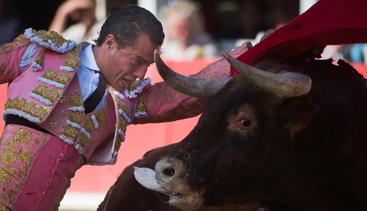 Aksi matador asal Spanyol, Ivan Fandino Aranda saat The Easter Feria di Arles, Perancis, Senin (18/4). Matador yang ikut berlaga dalam adu banteng ini tidak hanya dari Perancis, tetapi juga datang dari Spanyol. (AFP PHOTO/BERTRAND LANGLOIS)