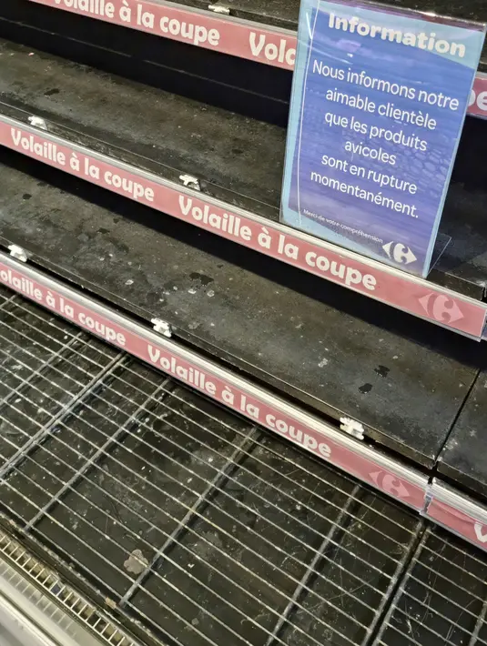 Rak kosong terlihat di supermarket, di Tunis, Tunisia, pada 10 Oktober 2022. Orang-orang mengantre selama berjam-jam untuk kebutuhan pangan yang telah lama disubsidi dan sekarang semakin tersedia hanya dalam jatah. (AP Photo/Hassene Dridi)