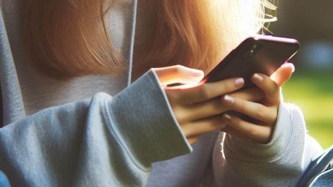 2. Mematikan Fungsi Optimalisasi Baterai<br>