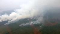 Pola kebakaran hutan dan lahan (karhutla) di Kalimantan yang sengaja dibakar. (Dok Badan Nasional Penanggulangan Bencana/BNPB)